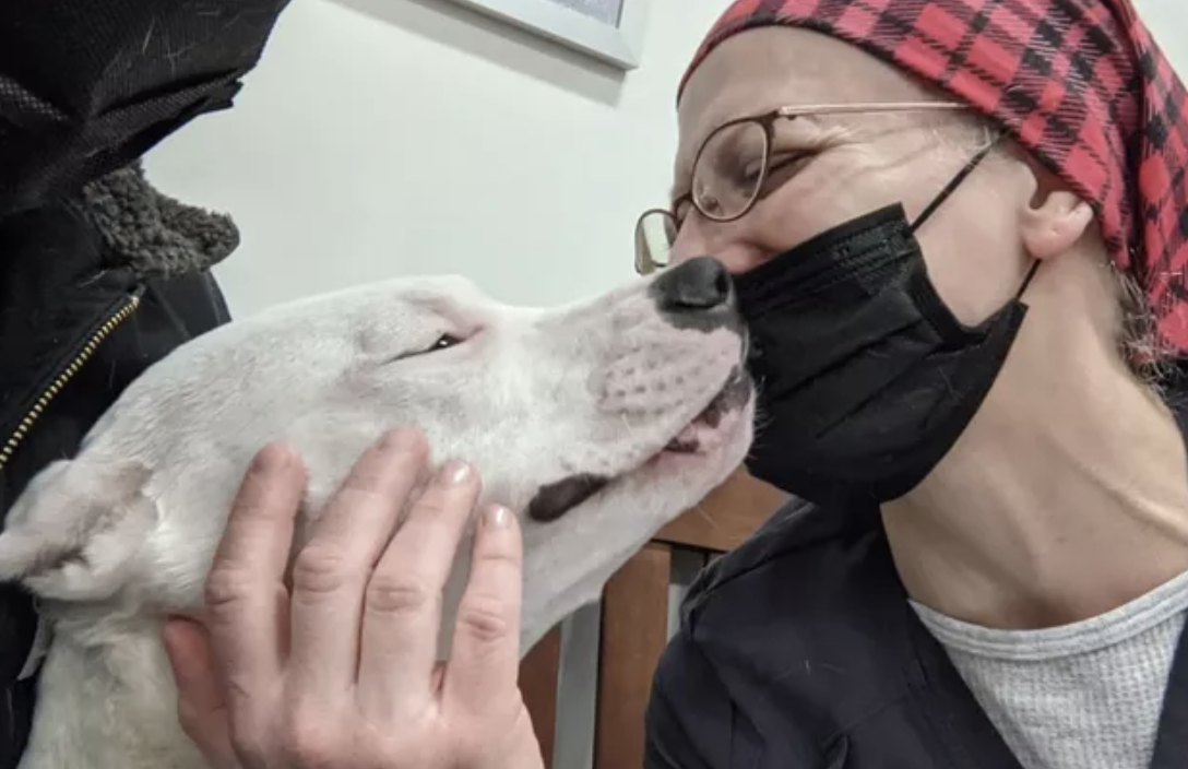 Sweet Wiley Valentine to Receive Life-Changing Surgery Thanks to